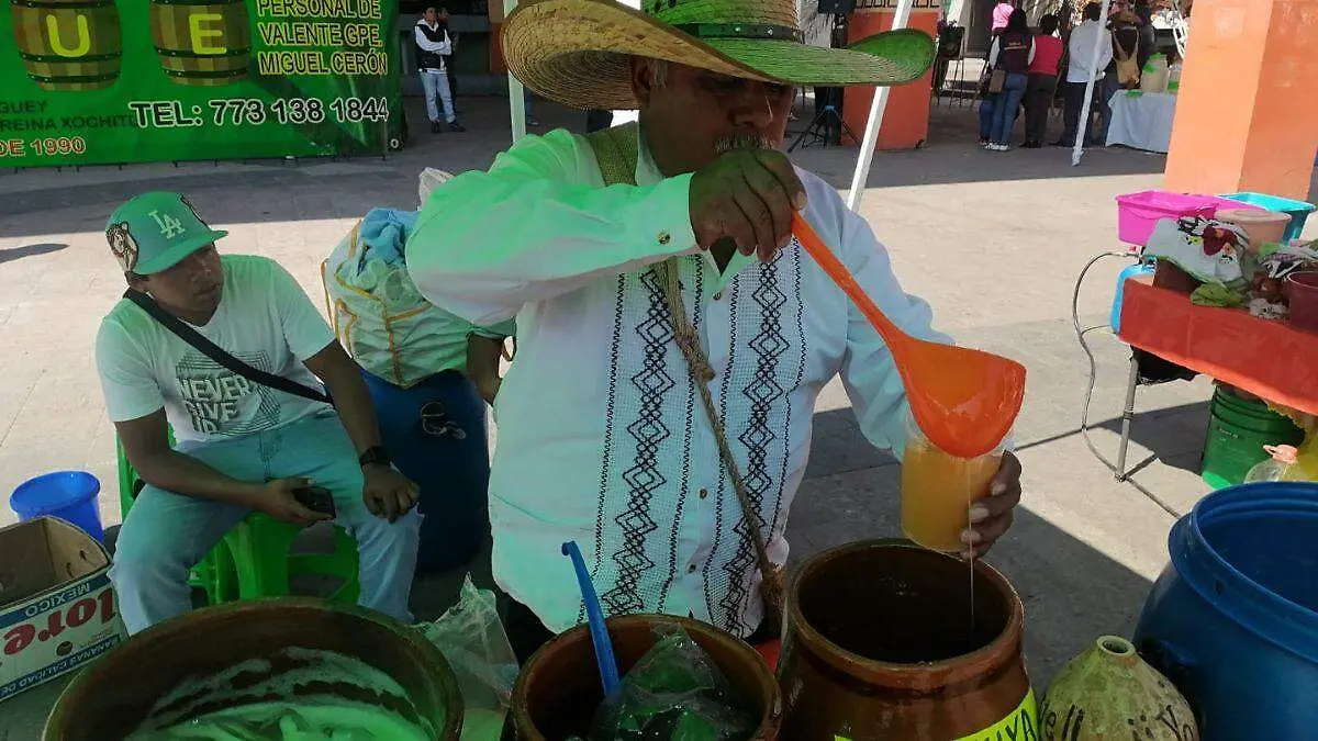 WEB PULQUE BUENAA